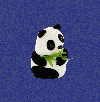 Petit ours panda pour anneau 

